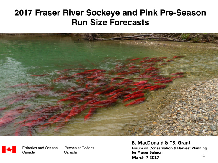 2017 fraser river sockeye and pink pre season run size