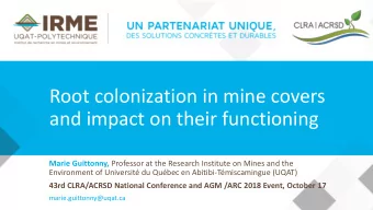 and impact on their functioning Marie Guittonny, Professor at the Research Institute on Mines and