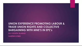 UNION EXPERIENCE PROMOTING LABOUR &amp;  TRADE UNION RIGHTS AND COLLECTIVE  BARGAINING WITH MNES