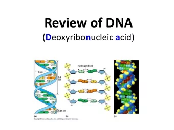 Review of DNA ( D eoxyribo n ucleic a cid)  What do you remember from  Biology?  Who are these