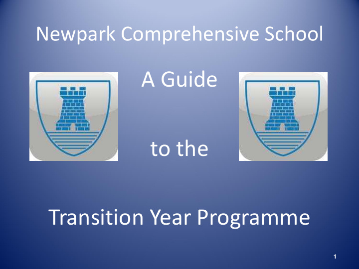 a guide to the transition year programme