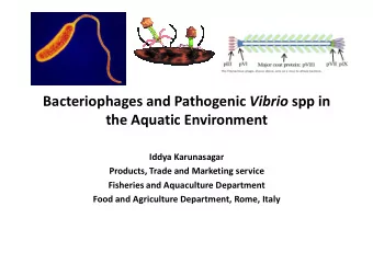 Bacteriophages and Pathogenic Vibrio spp in  the Aquatic Environment  Iddya Karunasagar  Products,