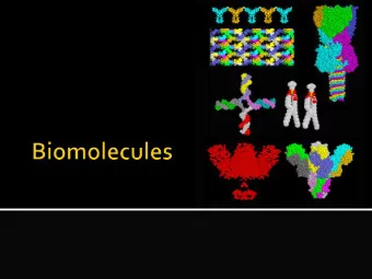 Sugars and polymers  of sugars  Classes  Monosaccharides  Disaccharides and