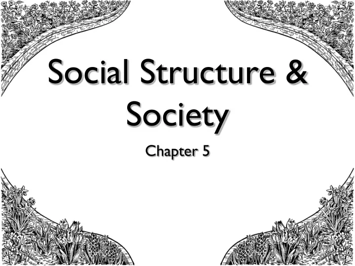 social structure society