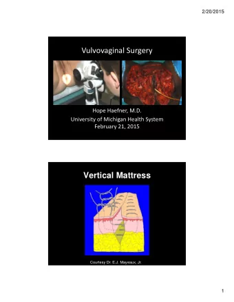 Vulvovaginal Surgery Hope Haefner, M.D. University of Michigan Health System February 21, 2015