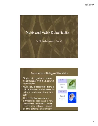 Matrix and Matrix Detoxification  Dr. Stefan Kuprowsky, MA, ND  Evolutionary Biology of the Matrix