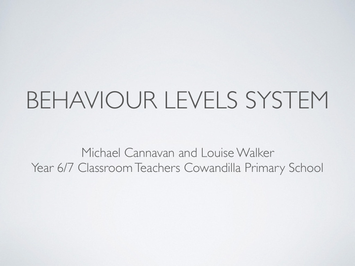 behaviour levels system