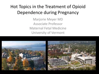 Hot Topics in the Treatment of Opioid  Dependence during Pregnancy  Marjorie Meyer MD  Associate