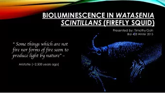 BIOLUMINESCENCE IN WATASENIA SCINTILLANS (FIREFLY SQUID)  Presented by: Timothy Goh  Biol 428