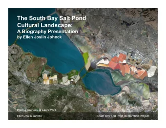 The South Bay Salt Pond  Cultural Landscape:  A Biography Presentation  by Ellen Joslin Johnck