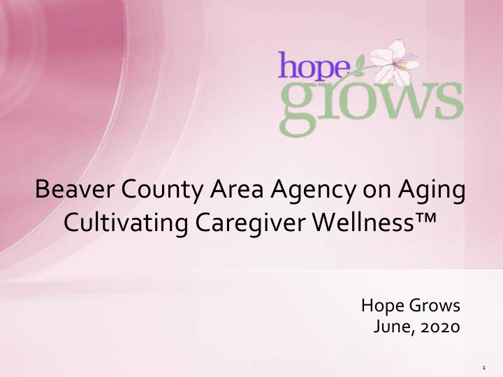 beaver county area agency on aging cultivating caregiver