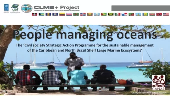 The Civil society Strategic Action Programme for the sustainable management  of the Caribbean