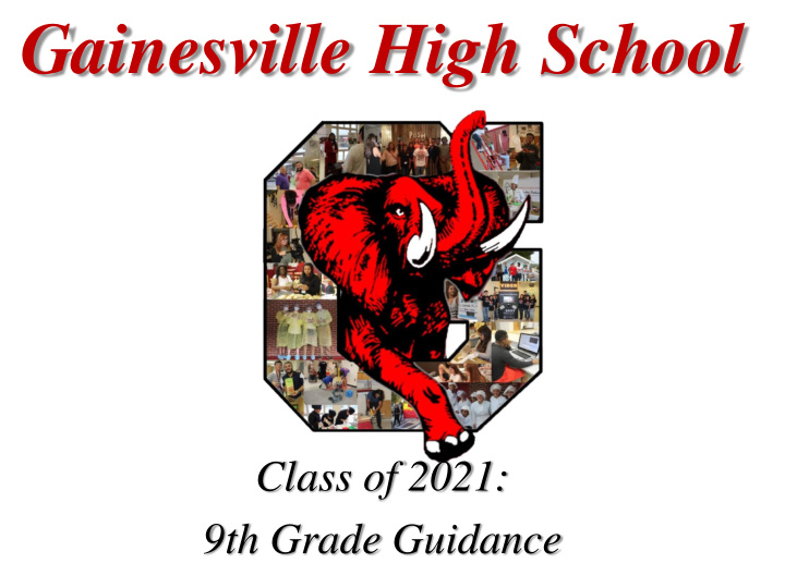 gainesville high school