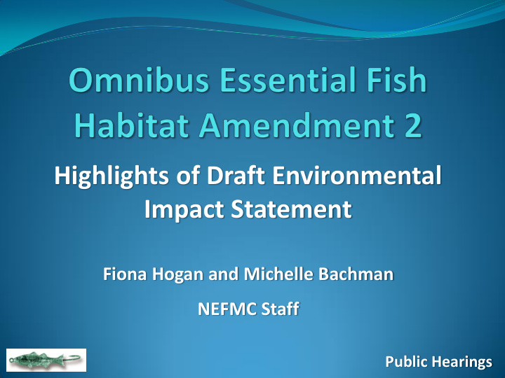 highlights of draft environmental