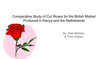 Comparative Study of Cut Roses for the British Market  Produced in Kenya and the Netherlands  By: