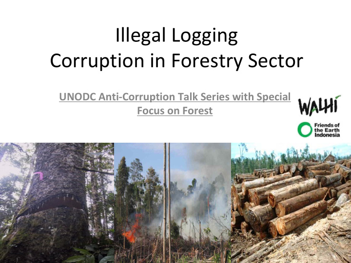 illegal logging corruption in forestry sector unodc anti