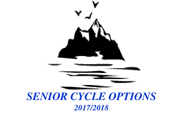 senior cycle options
