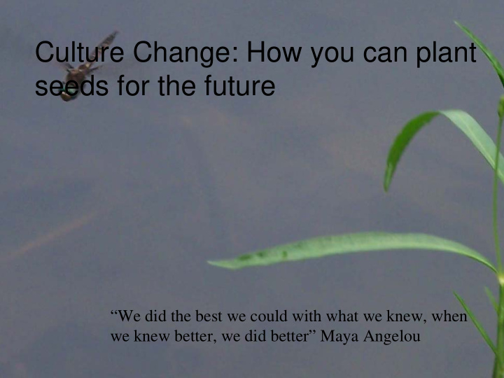 culture change how you can plant seeds for the future