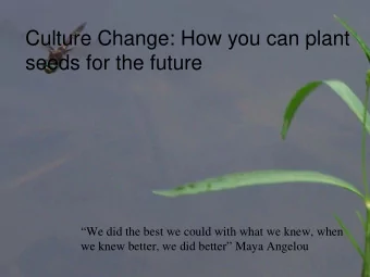 Culture Change: How you can plant  seeds for the future  We did the best we could with what we