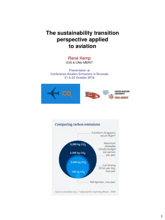 The sustainability transition  perspective applied  to aviation  Ren Kemp  ICIS &amp; UNU-MERIT