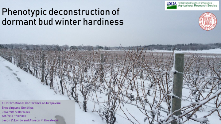 dormant bud winter hardiness