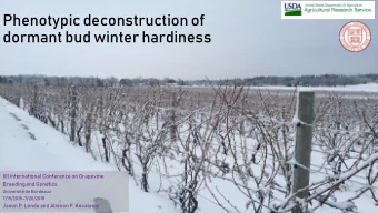 dormant bud winter hardiness  XII International Conference on Grapevine  Breeding and Genetics