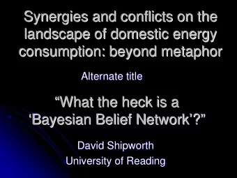 Synergies and conflicts on the  Synergies and conflicts on the  landscape of domestic energy