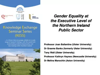 Public Sector  Professor Joan Ballantine (Ulster University)  Dr Graeme Banks (formerly Ulster