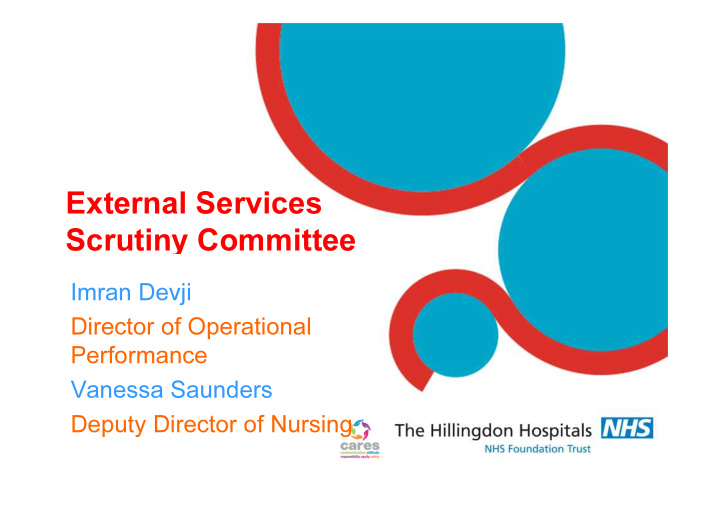 external services scrutiny committee