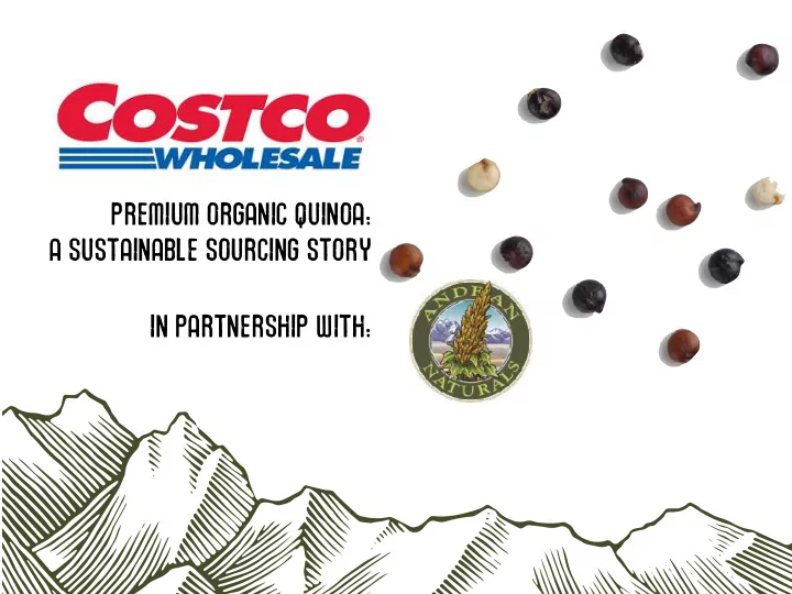 premium organic quinoa a sustainable sourcing story in