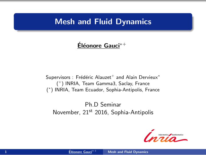 mesh and fluid dynamics