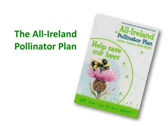 The All-Ireland  Pollinator Plan Pollen is the fine powder inside a flower. Flowers use pollen to