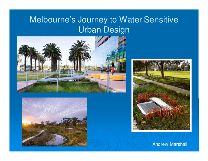 melbourne s journey to water sensitive urban design
