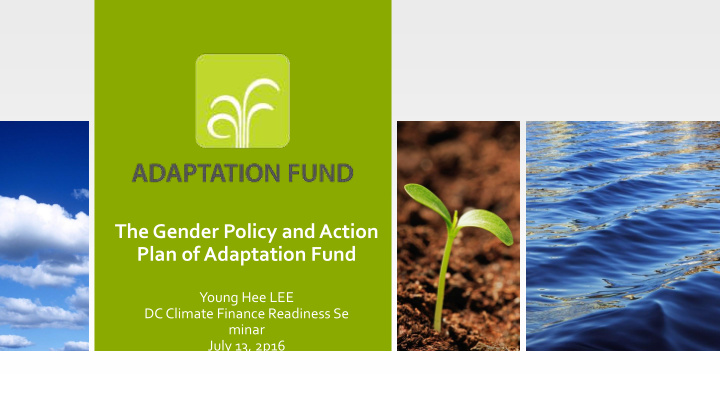 plan of adaptation fund