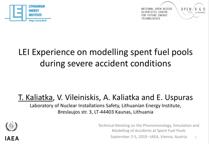 lei experience on modelling spent fuel pools during