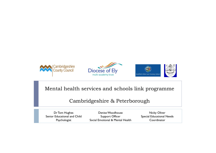mental health services and schools link programme