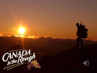 What not to post  How often to post  Scheduling posts  Keep content fresh  Take