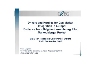 Drivers and Hurdles for Gas Market  Integration in Europe:  Evidence from Belgium-Luxembourg Pilot