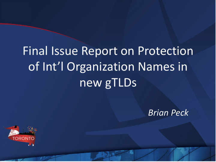 final issue report on protection of int l organization