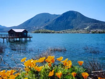 Russell Anderson  Russell Anderson  Members of the Board  Members of the Board  Russ Anderson