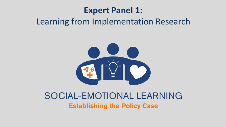 expert panel 1 learning from implementation research