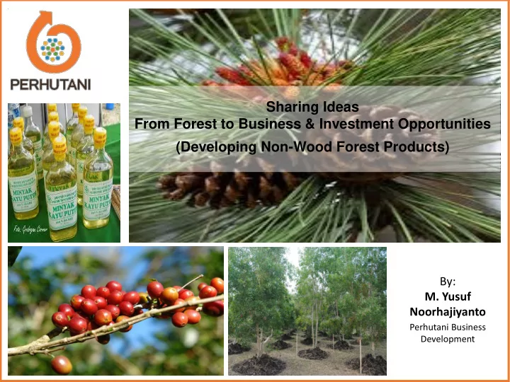 sharing ideas from forest to business amp investment