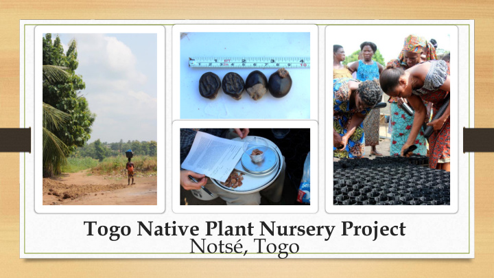 togo native plant nursery project nots togo area of