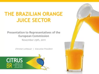 THE BRAZILIAN ORANGE  JUICE SECTOR  Presentation to Representatives of the  European Commission
