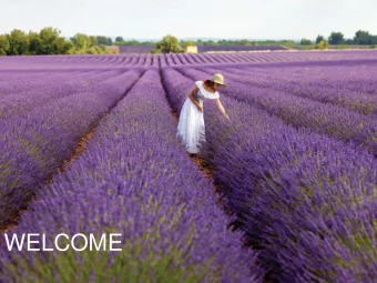 WELCOME  The Authentic Rev-OIL-ution!  4  5  Natures Sunshine    Over 44 years in Natural