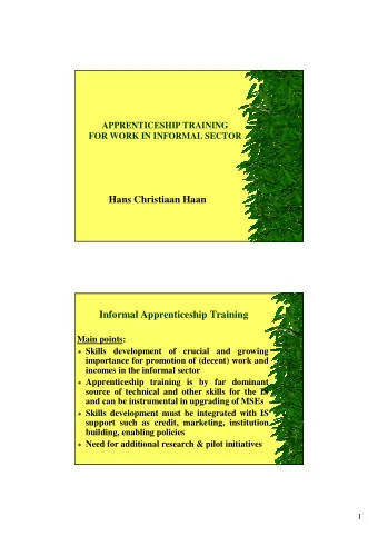 Hans Christiaan Haan  Informal Apprenticeship Training  Main points:  Skills development of