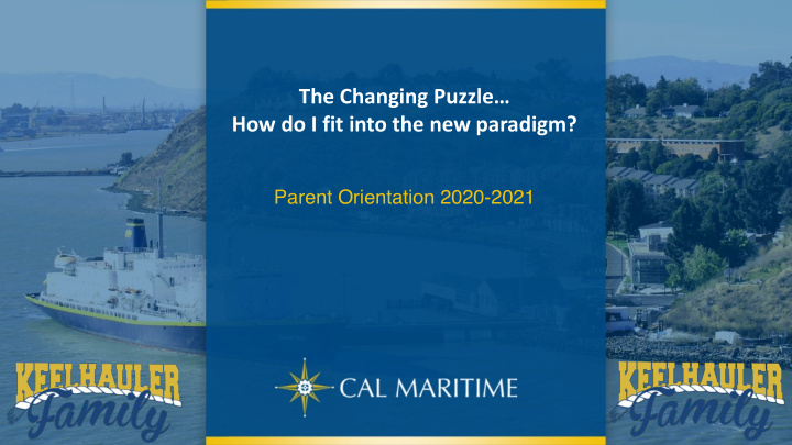the changing puzzle how do i fit into the new paradigm