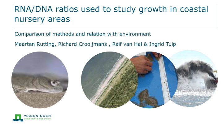 rna dna ratios used to study growth in coastal nursery