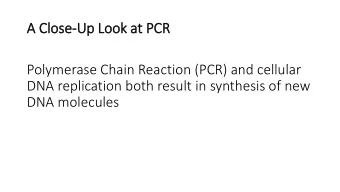 A C  Close  se-Up L  Look  ook a  at PCR  Polymerase Chain Reaction (PCR) and cellular  DNA