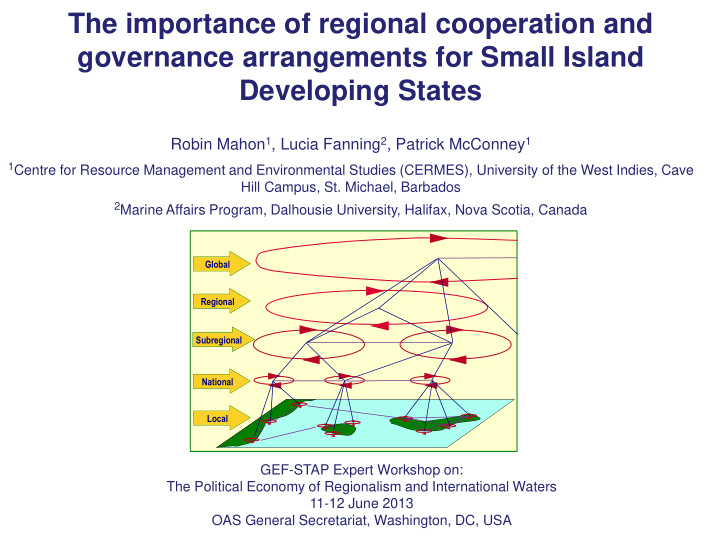 governance arrangements for small island